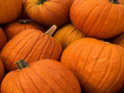 Dynia nie tylko na Halloween